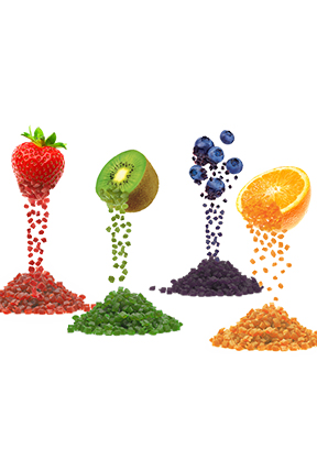 Manufacturer of Food Processing Dyes Pigments