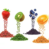Manufacturer Supplier of Dyes and Pigments to Food Processing Industry