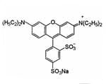 кислота Rhodamine B 400% красный 52 производитель поставщик Экспортер