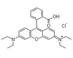 Basic Rhodamine B Liquid 40% Manufacturer Supplier Exporter